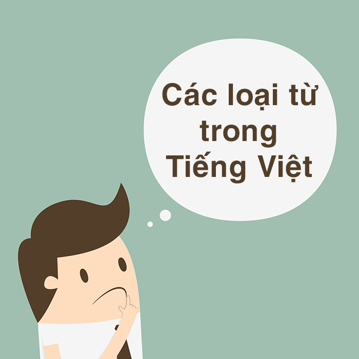 Các loại từ trong Tiếng Việt đầy đủ và chi tiết nhất