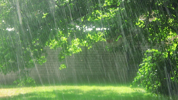 Tả cơn mưa rào mùa hạ (Dàn ý + Mẫu hay chọn lọc)