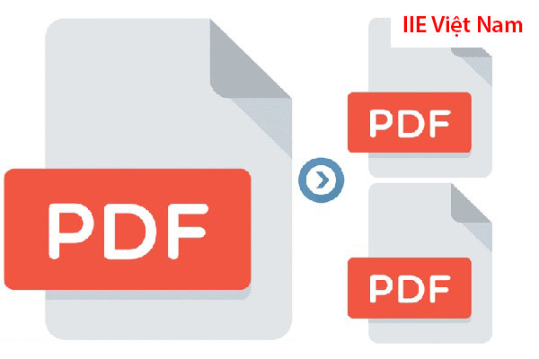 Xuất file PDF trong AI với các bước đơn giản