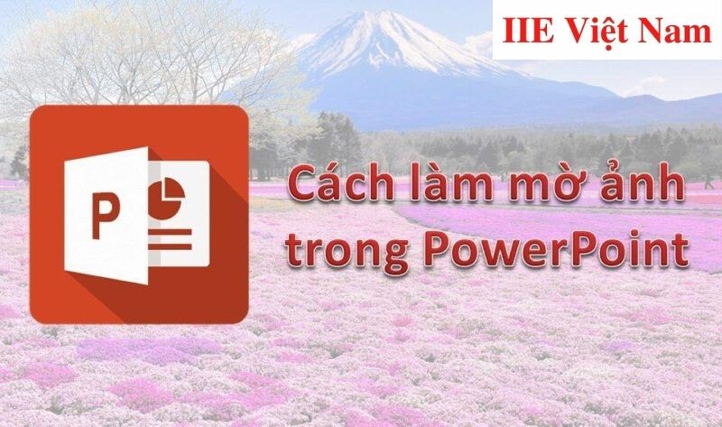 Cách làm mờ ảnh trong Powerpoint ai cũng làm được