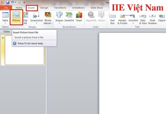 Cách chèn hình nền Slide template vào Powerpoint 20032016