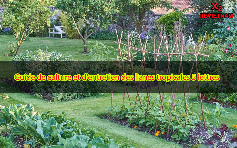 Liane tropicale 5 lettres Découvrez les variétés de lianes en 5 lettres