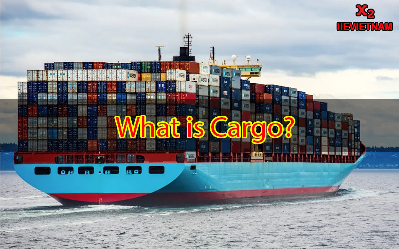 What Is Cargo Ultra? A Comprehensive Guide To Shipping Services