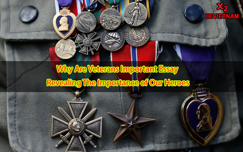 why is the veteran important essay pdf