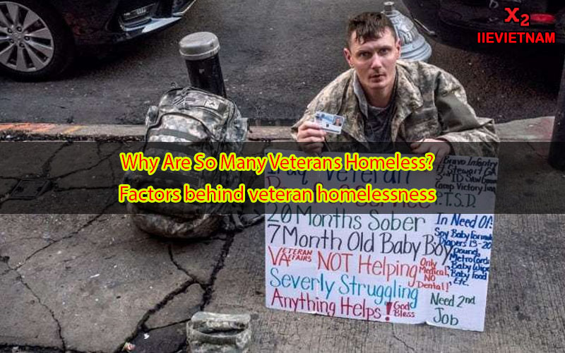 thesis statement on why veterans are important