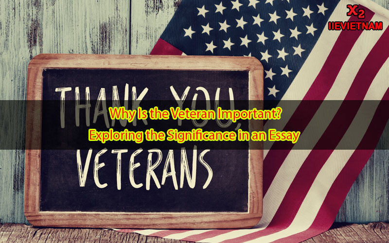 essay on why veterans day is important