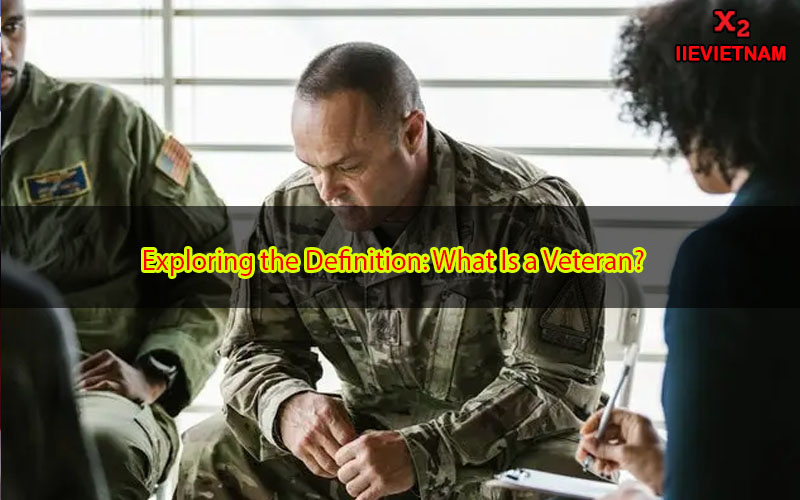 why is the veteran important essay pdf