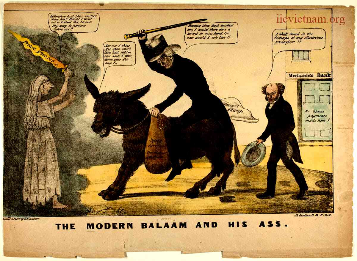 Why Is a Donkey Called a Jackass? Revealing the Historical and