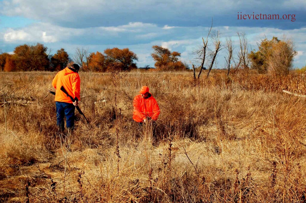 Why Hunters Should Wear Daylight Fluorescent Orange Clothing A Guide