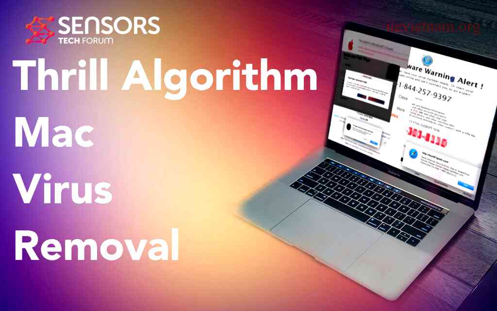 what-is-the-thrill-algorithm-and-how-does-it-affect-search-engine