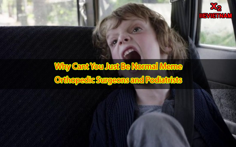 Why Cant You Just Be Normal Meme?