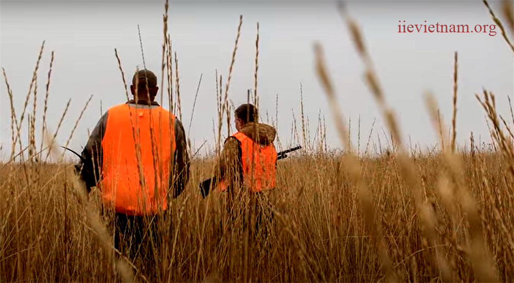 Why Hunters Should Wear Daylight Fluorescent Orange Clothing A Guide