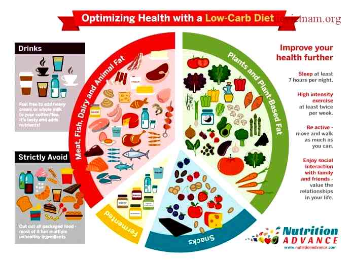 What is Considered LowCarb? Guide LowCarb for Health